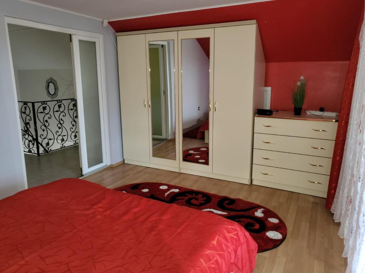 Vila Ana Cu Terasa Gratar Si Jacuzzi Βίλα Σάτου Μάρε Εξωτερικό φωτογραφία