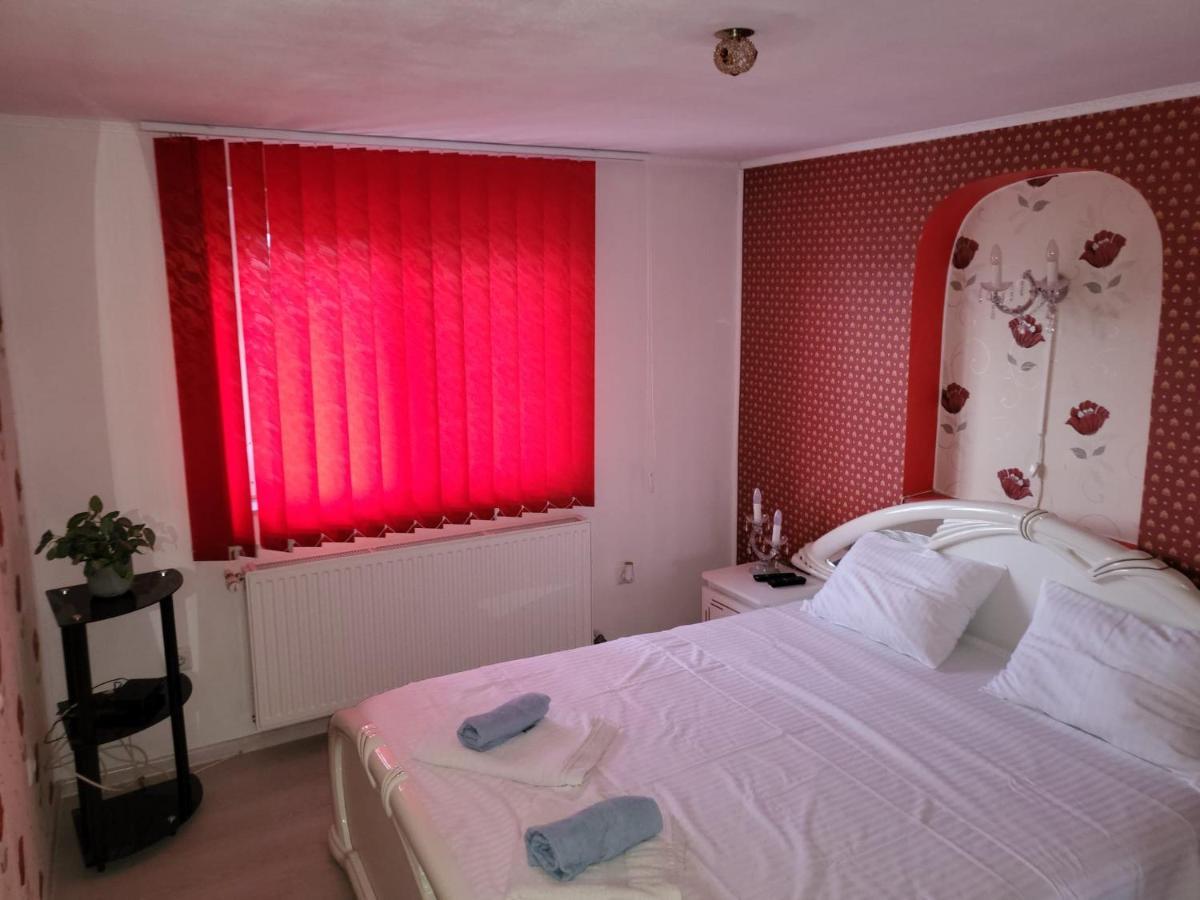 Vila Ana Cu Terasa Gratar Si Jacuzzi Βίλα Σάτου Μάρε Εξωτερικό φωτογραφία