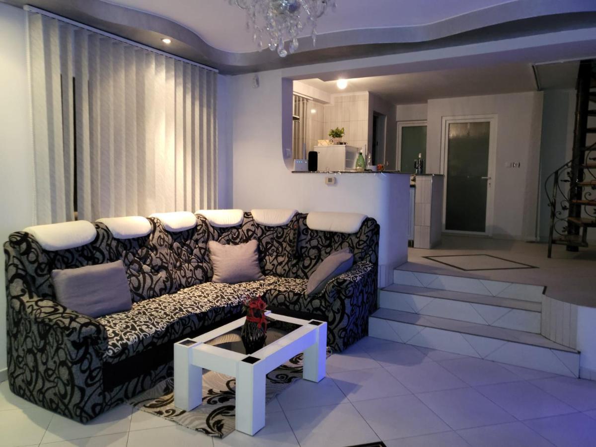 Vila Ana Cu Terasa Gratar Si Jacuzzi Βίλα Σάτου Μάρε Εξωτερικό φωτογραφία