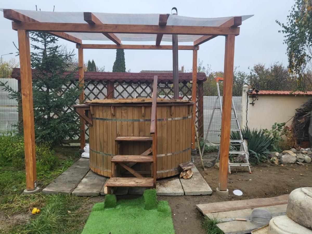 Vila Ana Cu Terasa Gratar Si Jacuzzi Βίλα Σάτου Μάρε Εξωτερικό φωτογραφία