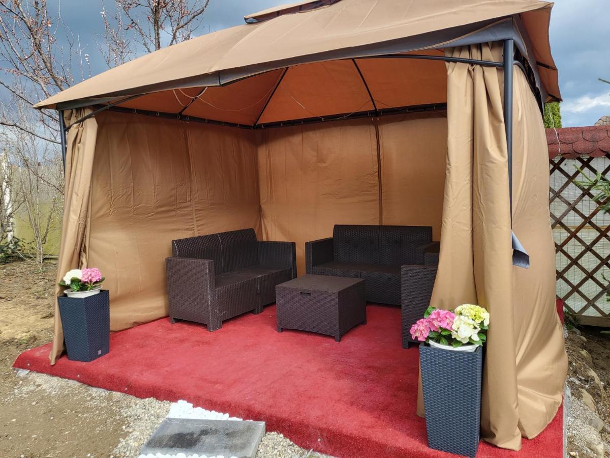 Vila Ana Cu Terasa Gratar Si Jacuzzi Βίλα Σάτου Μάρε Εξωτερικό φωτογραφία
